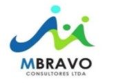 Mbravo Consultores Ltda